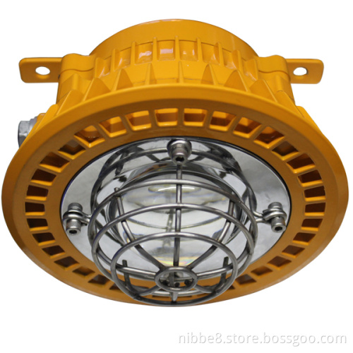 LED Atex, UL Flameproof Light